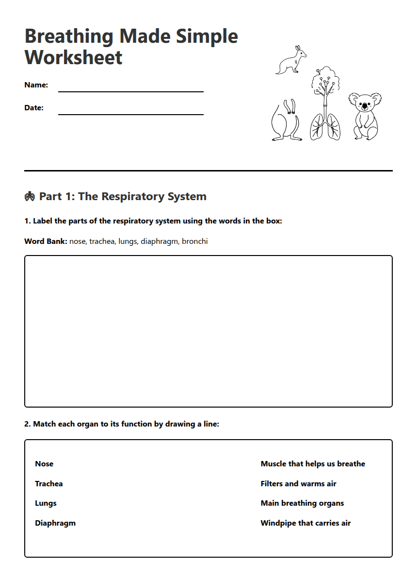 Breathing Made Simple Worksheet worksheet preview