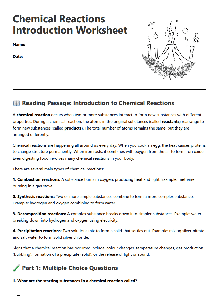 Chemical Reactions Introduction Worksheet worksheet preview