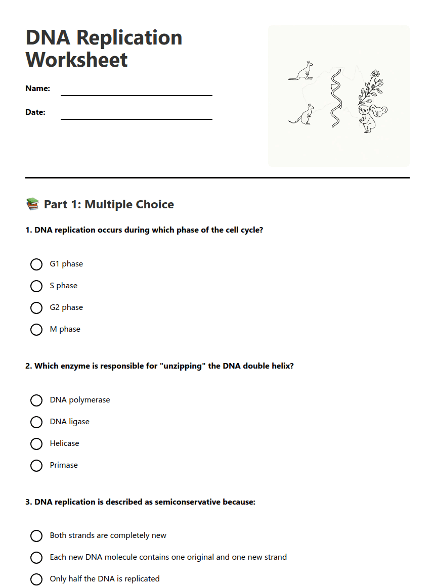 DNA Replication Worksheet worksheet preview