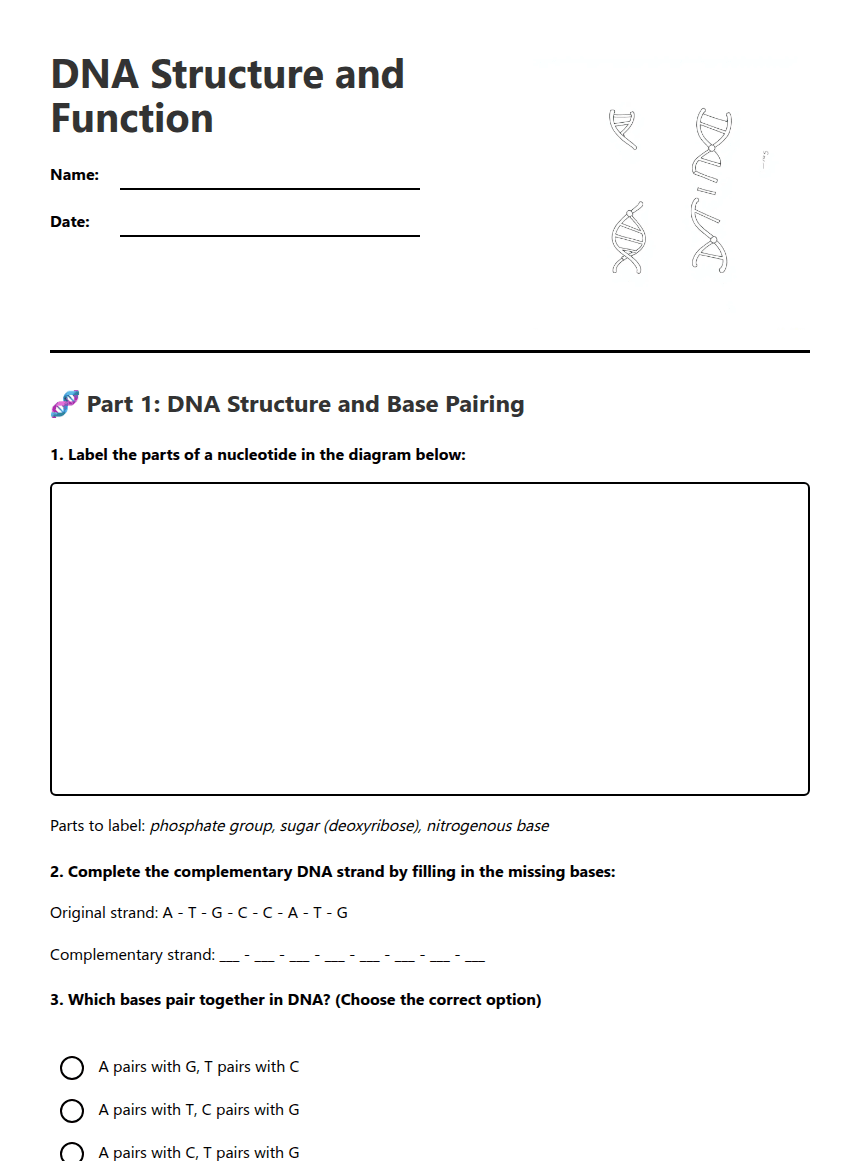 DNA Structure and Function worksheet preview