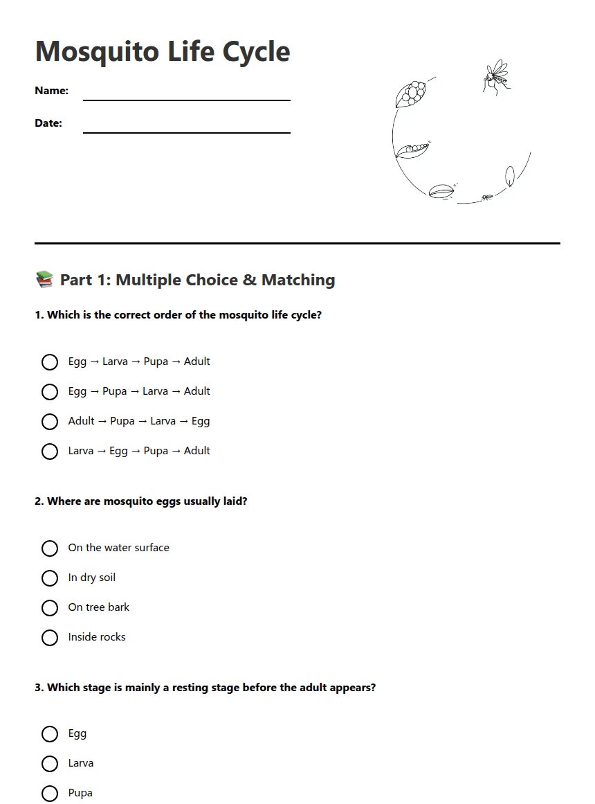 Mosquito Life Cycle worksheet preview