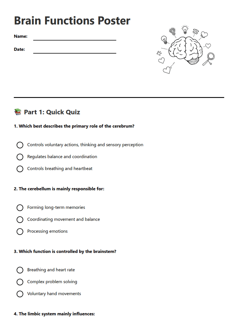 Brain Functions Poster