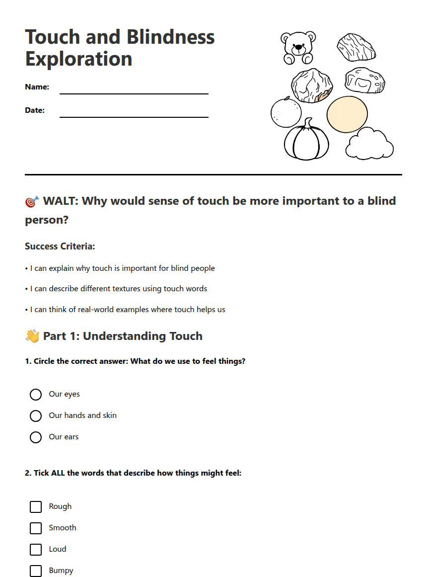 Touch and Blindness Exploration worksheet preview
