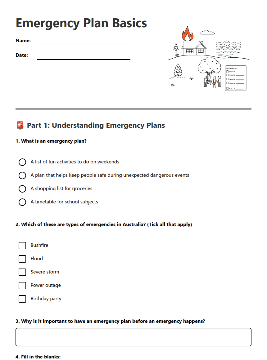 Emergency Plan Basics worksheet preview