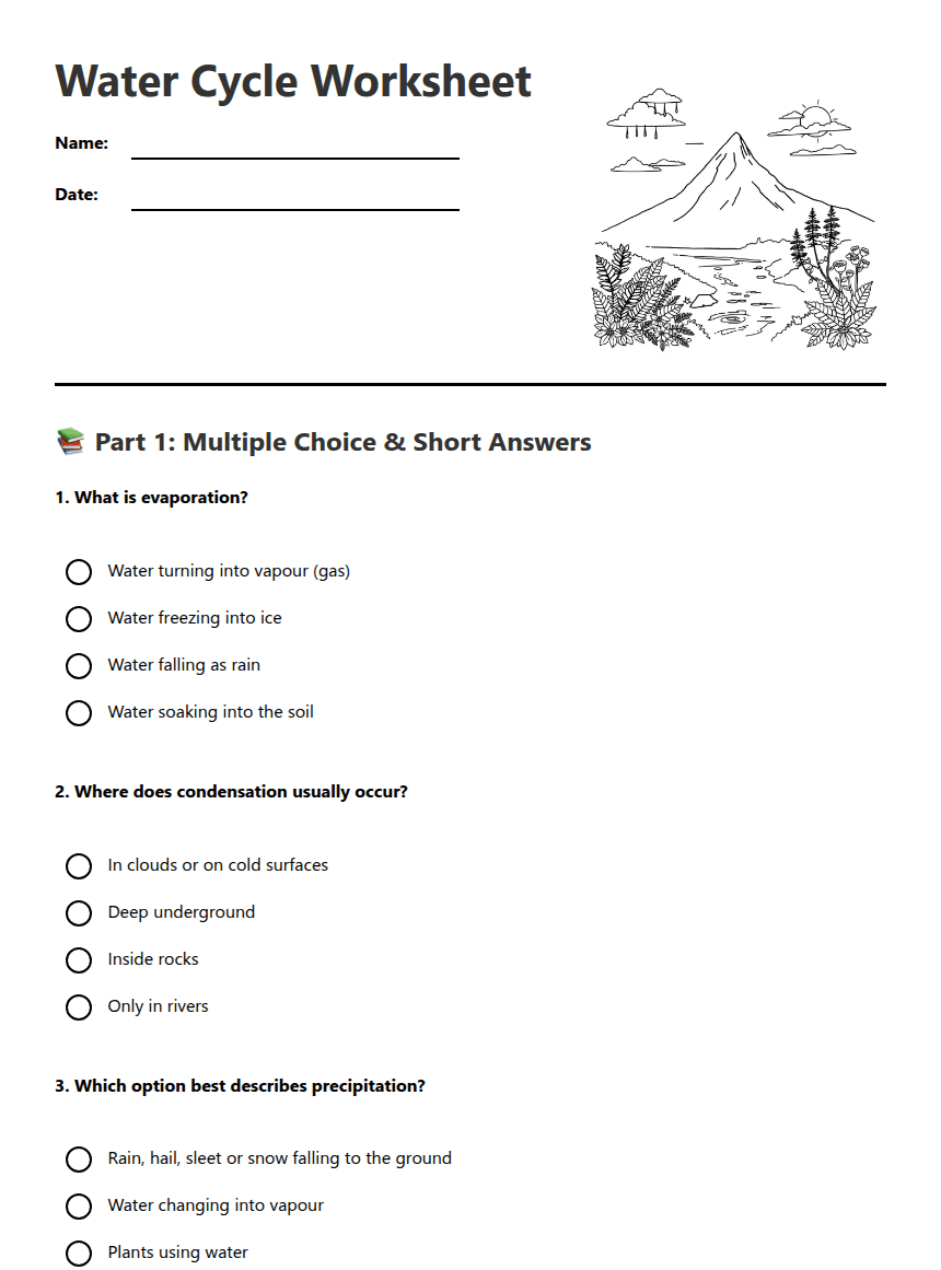 Water Cycle Worksheet worksheet preview