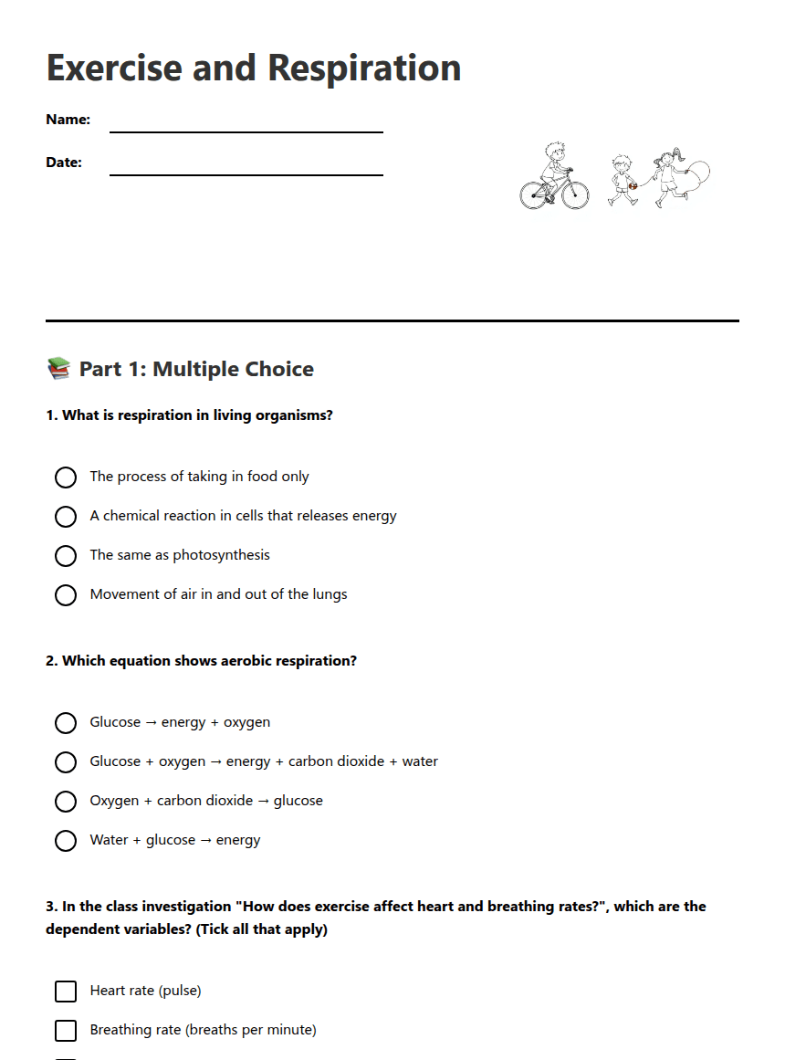 Exercise and Respiration worksheet preview