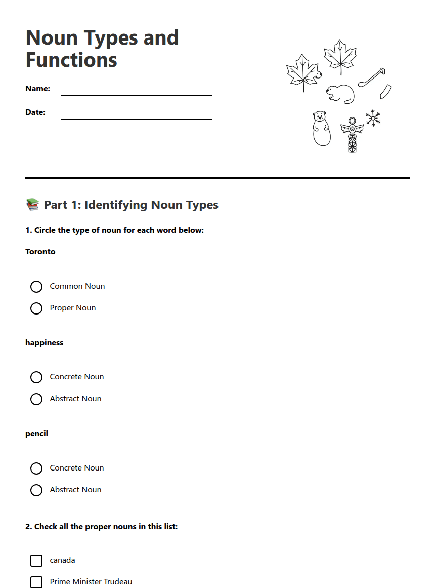 Noun Types and Functions worksheet preview