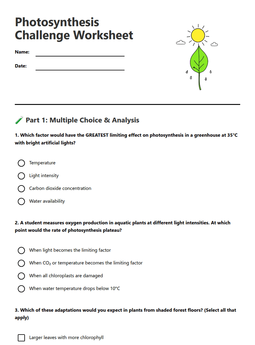 Photosynthesis Challenge Worksheet