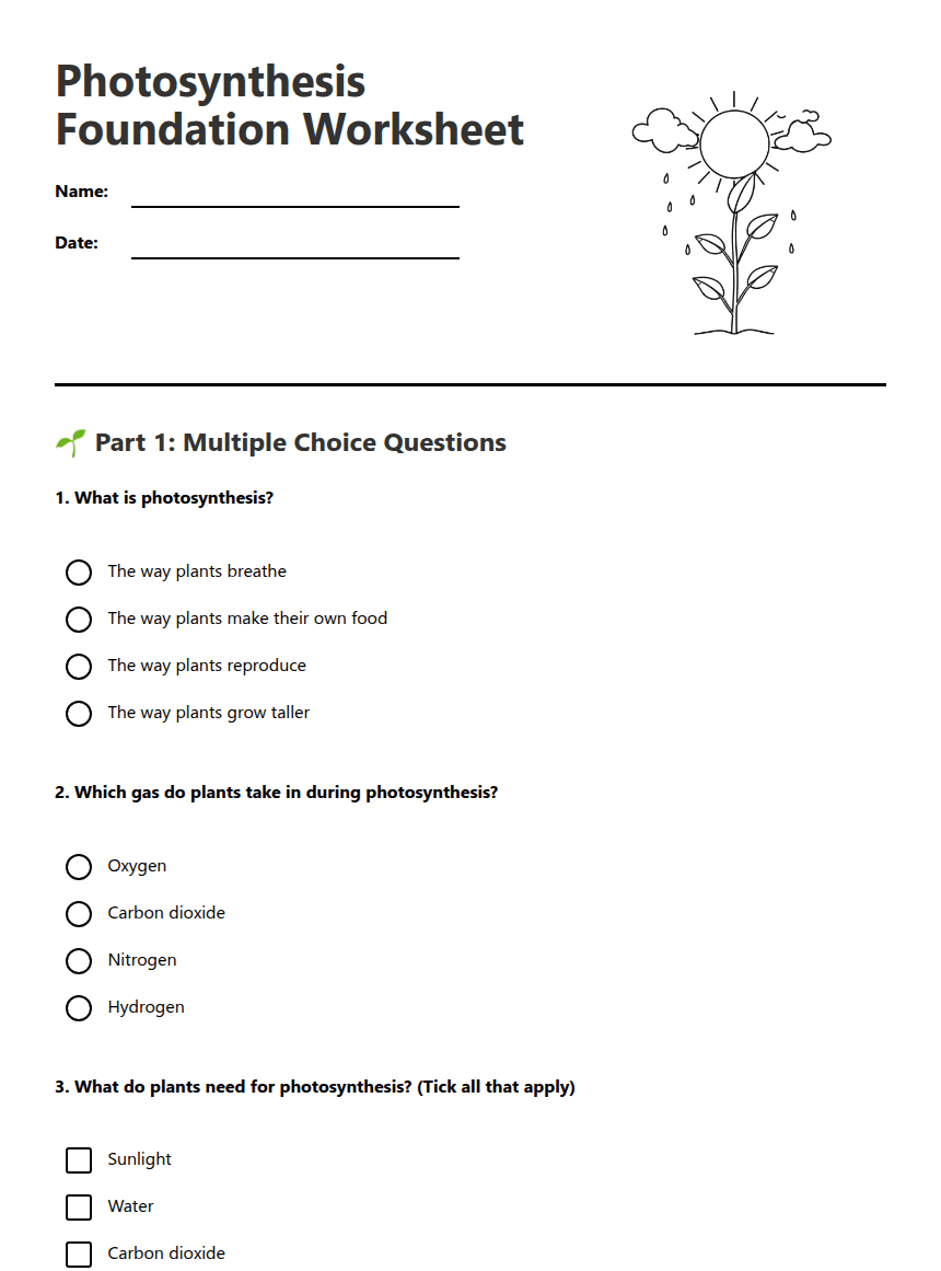 Photosynthesis Foundation Worksheet worksheet preview