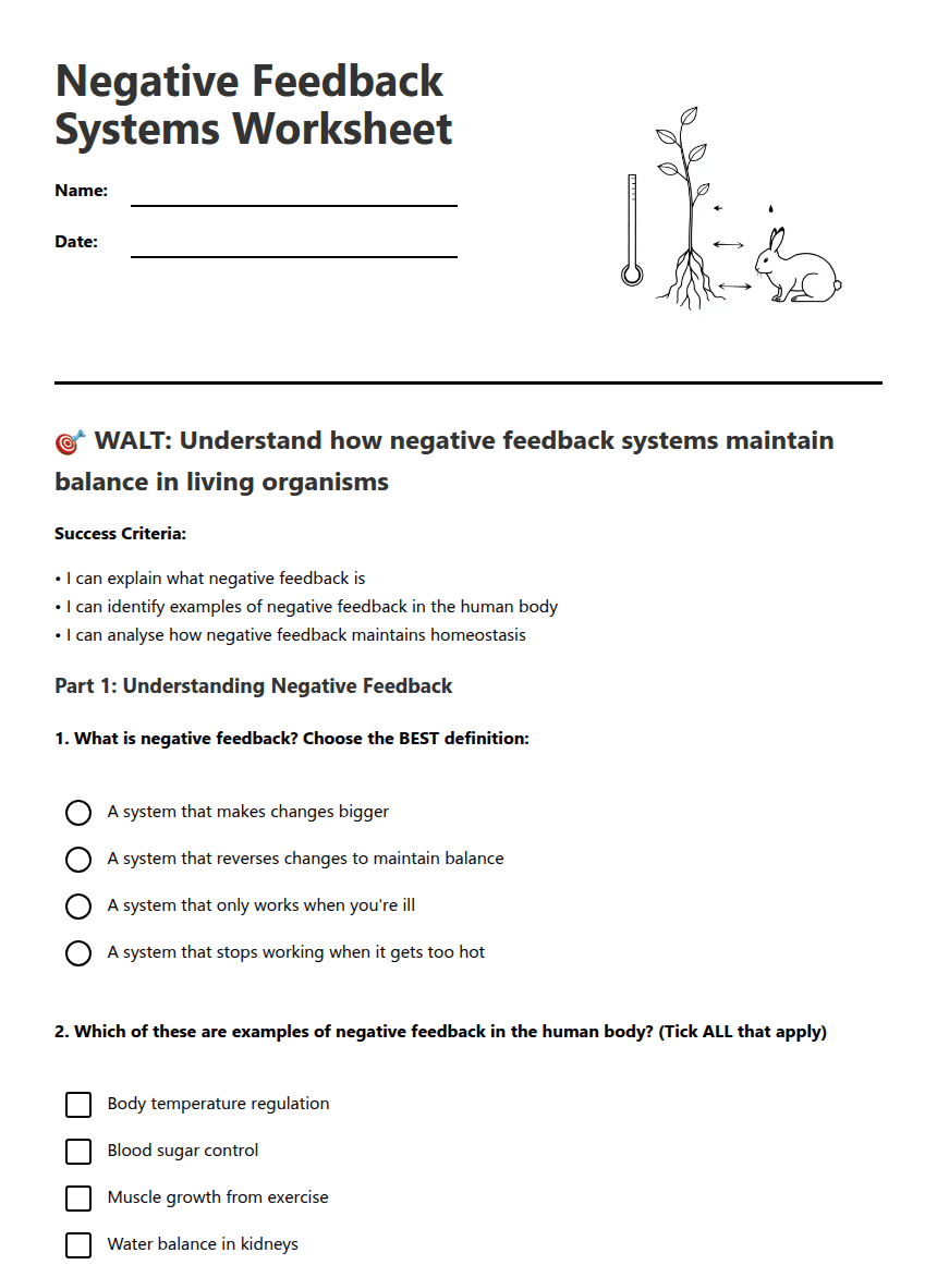 Negative Feedback Systems Worksheet worksheet preview