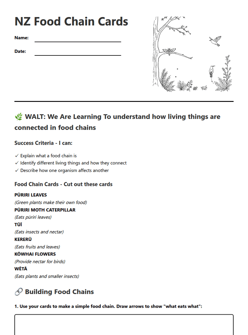 NZ Food Chain Cards