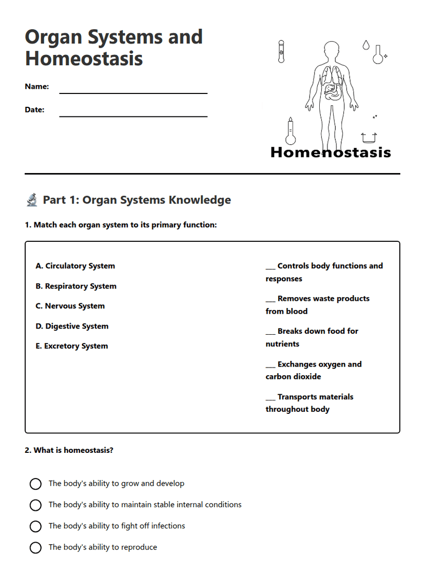 Organ Systems and Homeostasis