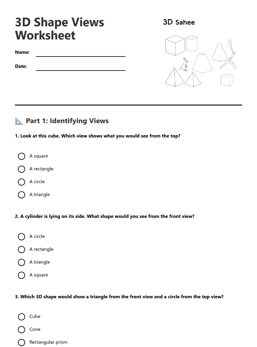 3D Shape Views Worksheet worksheet preview