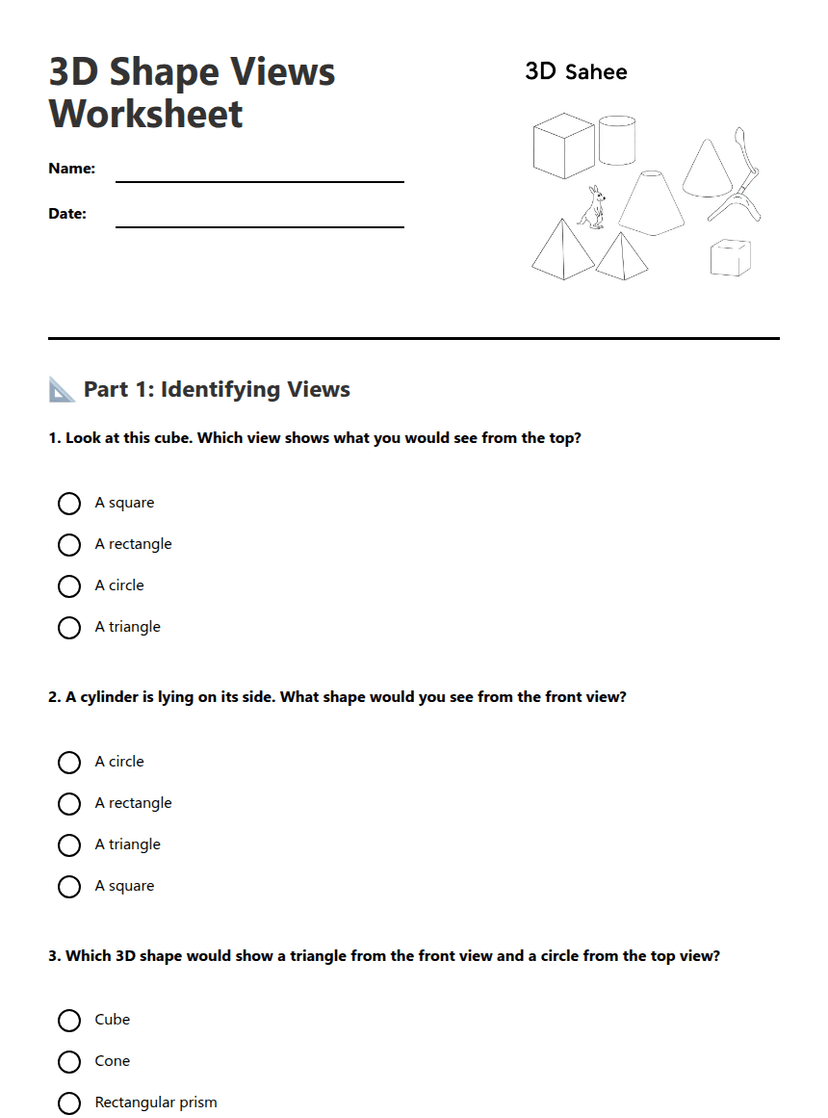 3D Shape Views Worksheet