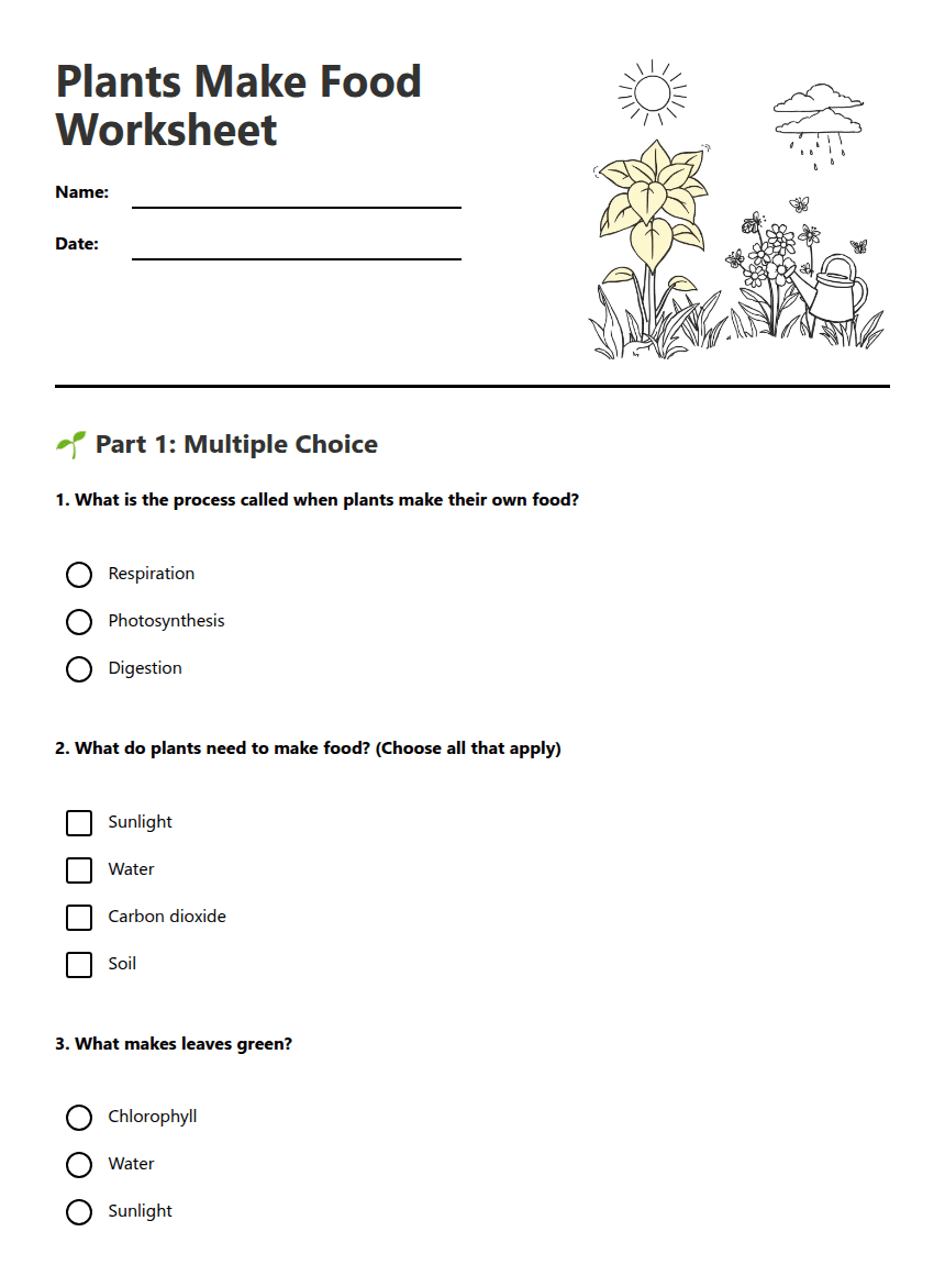 Plants Make Food Worksheet worksheet preview