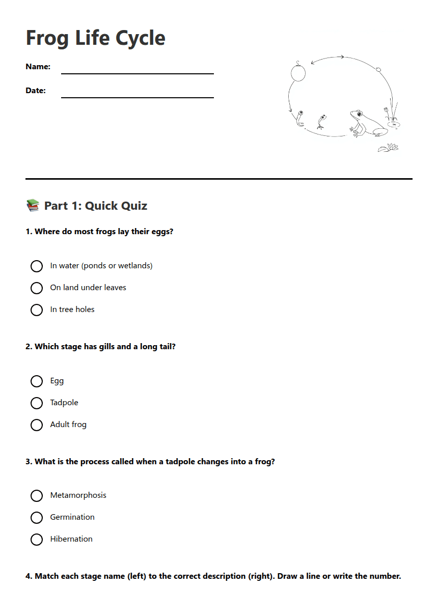 Frog Life Cycle worksheet preview
