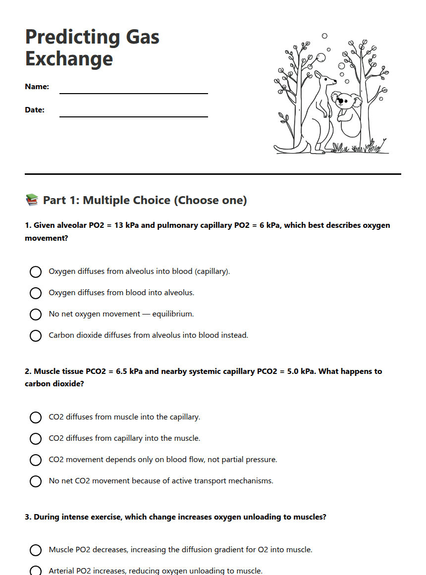 Predicting Gas Exchange worksheet preview