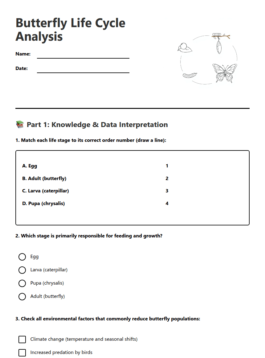Butterfly Life Cycle Analysis worksheet preview