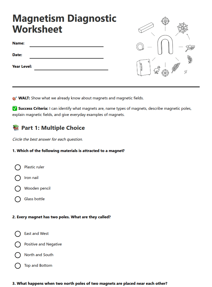 Magnetism Diagnostic Worksheet worksheet preview