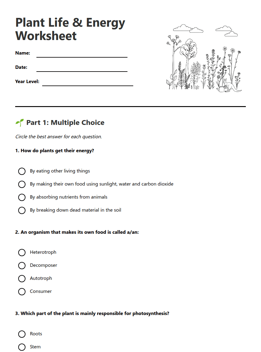 Plant Life Energy Worksheet worksheet preview
