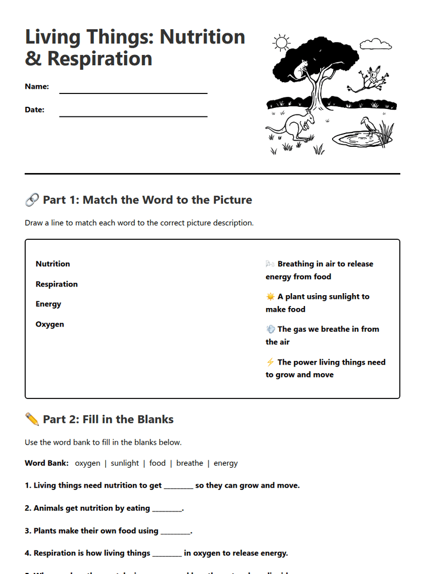 Living Things: Nutrition & Respiration