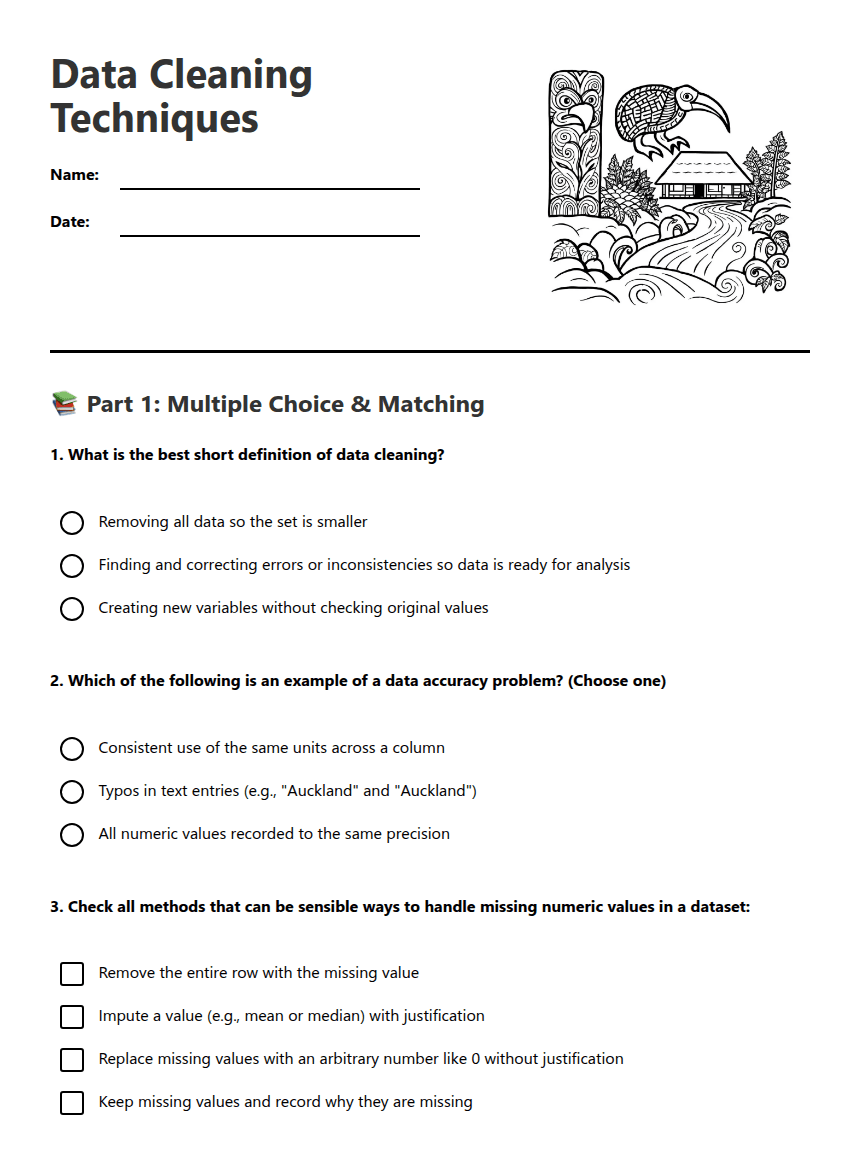 Data Cleaning Techniques worksheet preview
