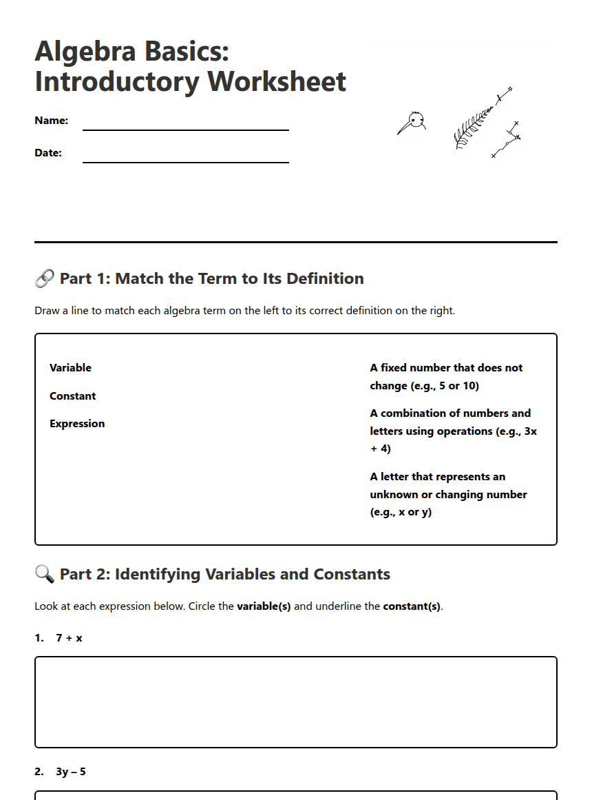 Algebra Basics: Introductory Worksheet worksheet preview