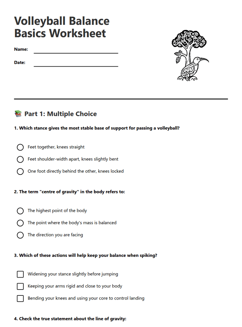 Volleyball Balance Basics Worksheet