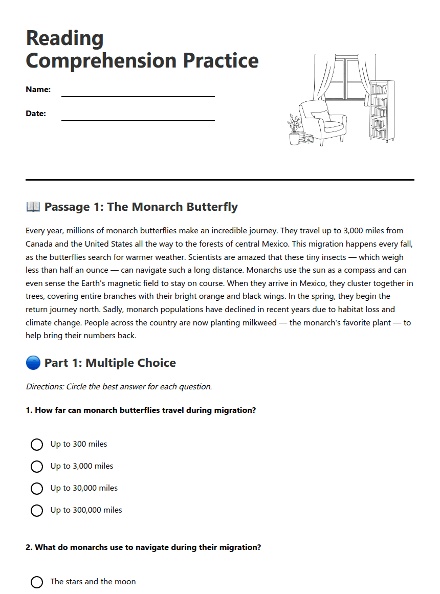 Reading Comprehension Practice worksheet preview