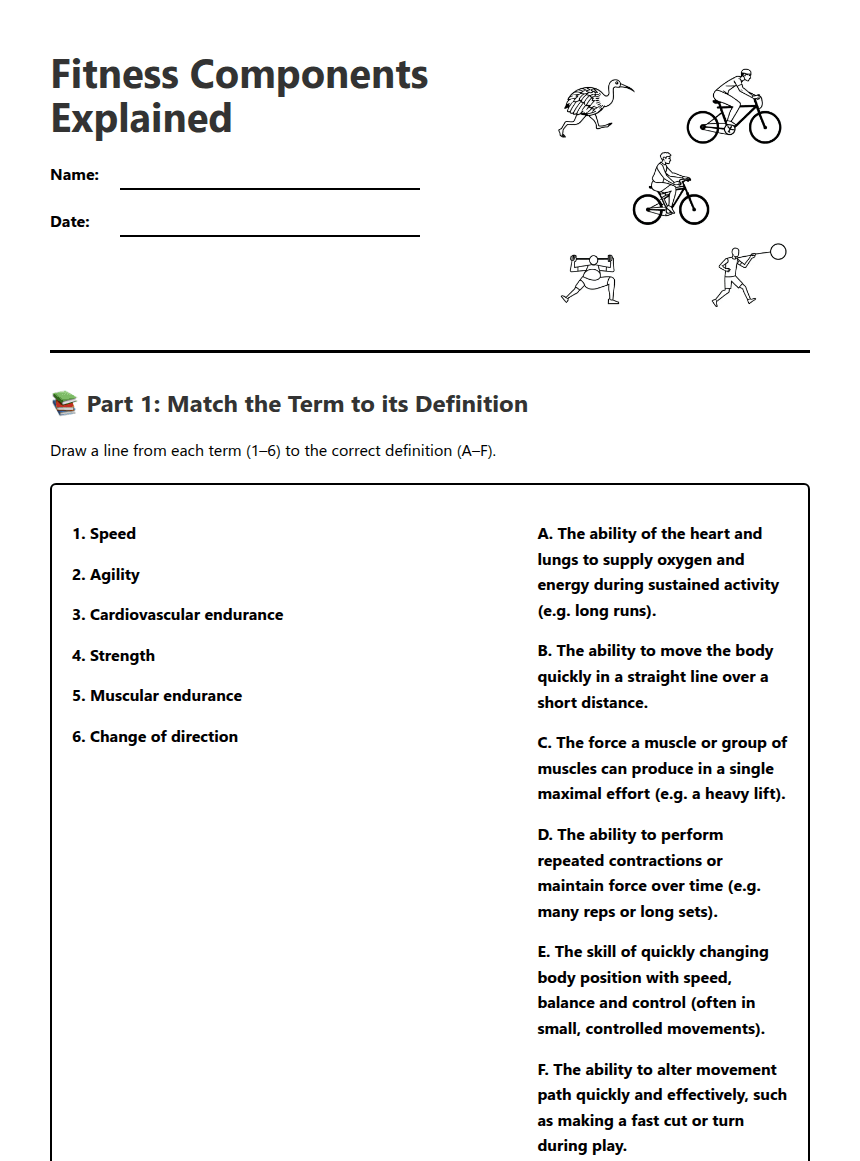 Fitness Components Explained worksheet preview