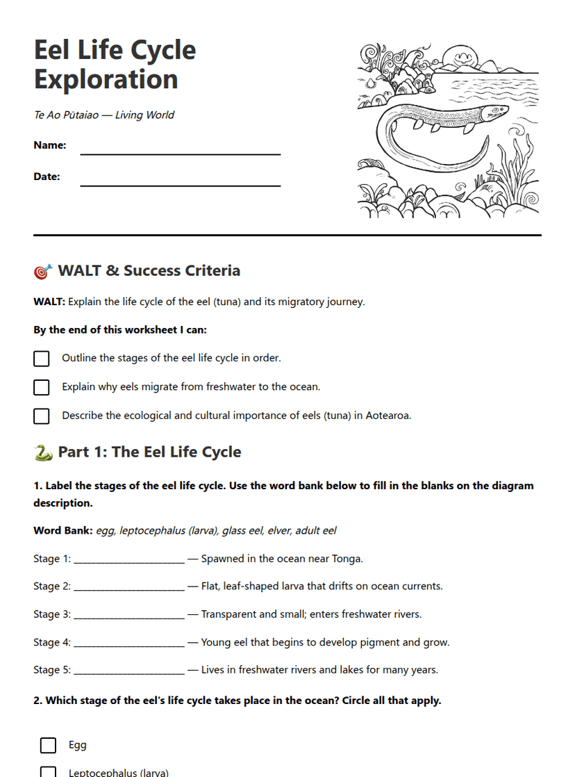 Eel Life Cycle Exploration