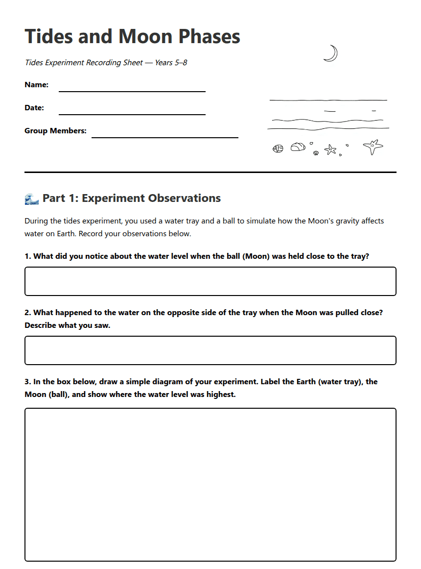 Tides and Moon Phases worksheet preview