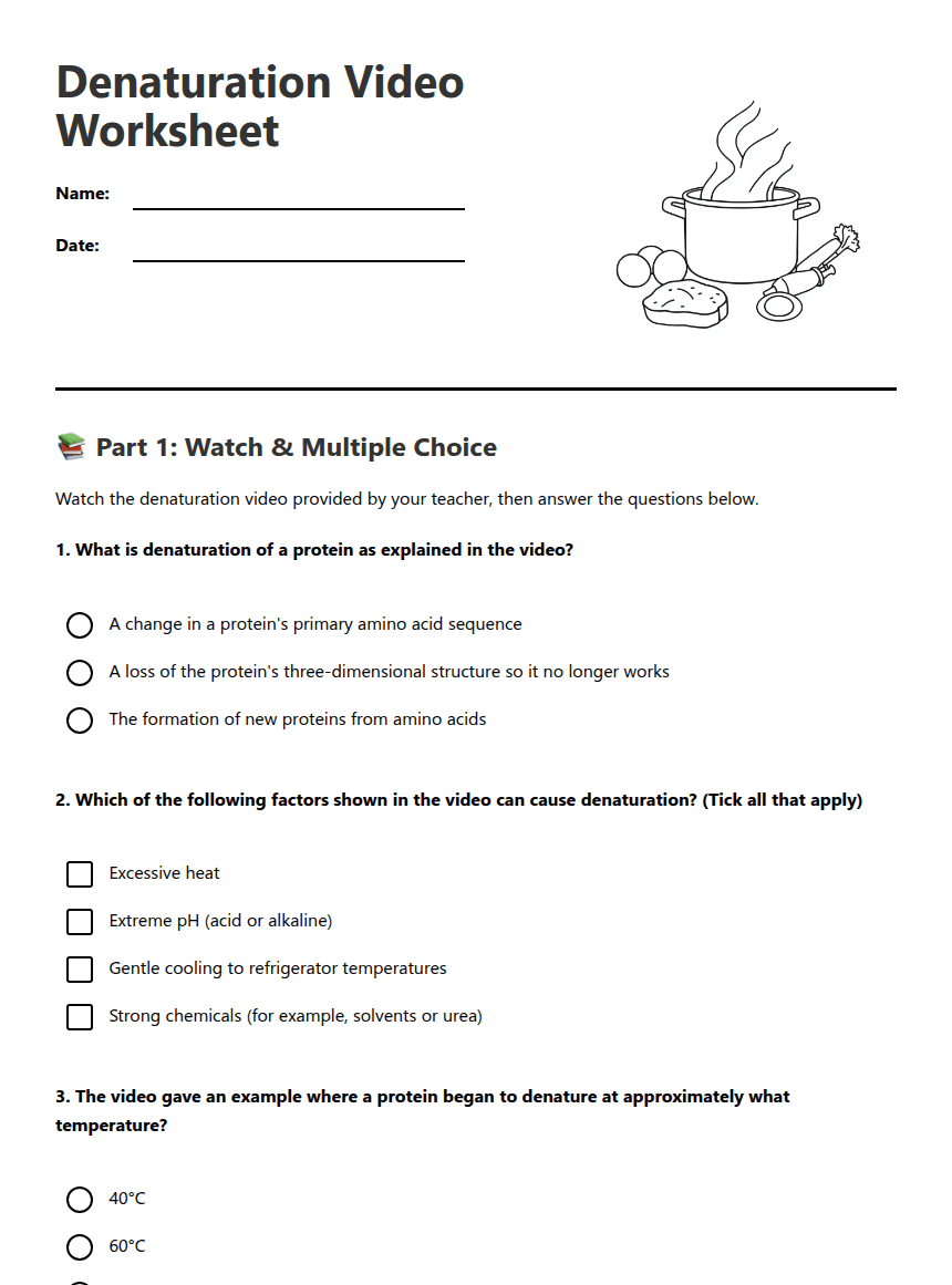 Denaturation Video Worksheet worksheet preview