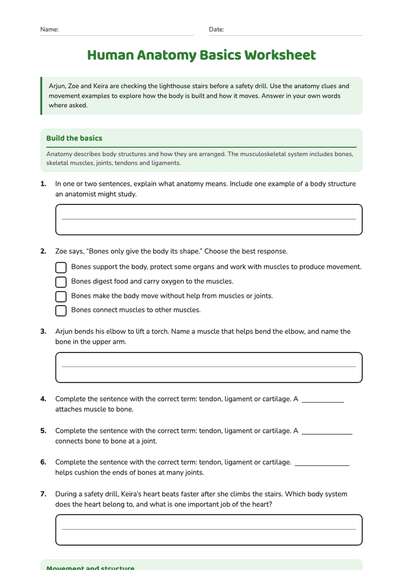 Human Anatomy Basics Worksheet