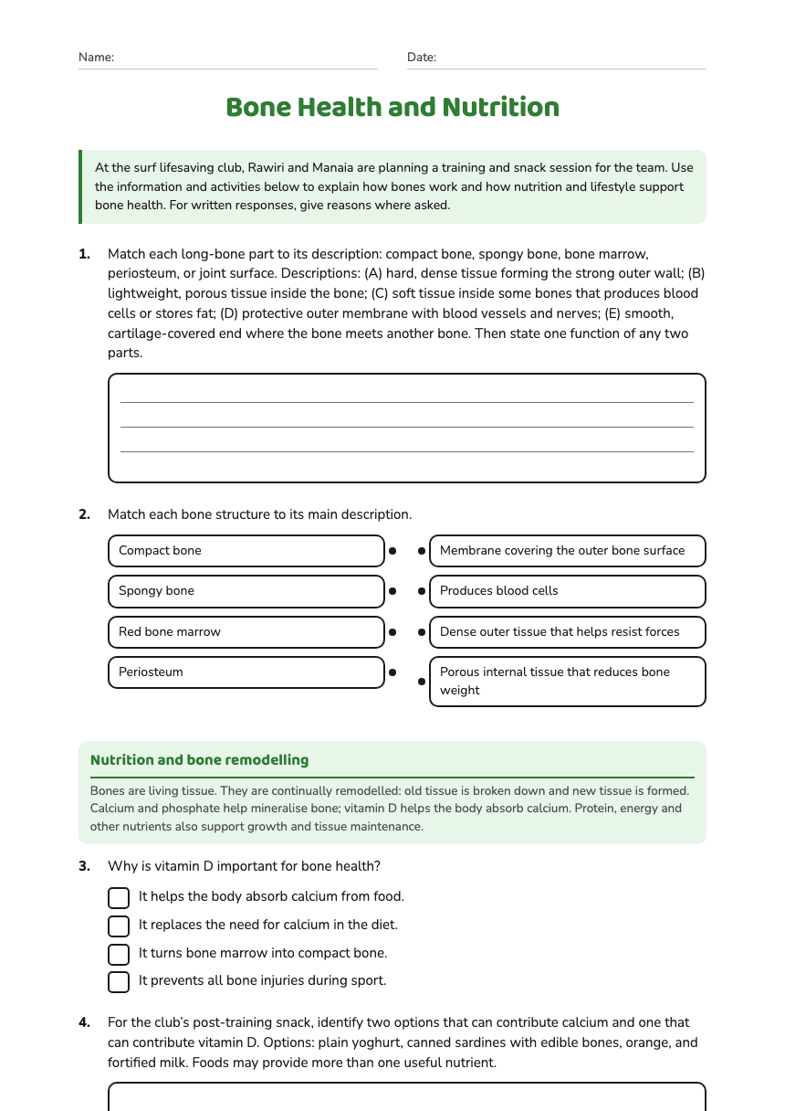 Bone Health and Nutrition worksheet preview