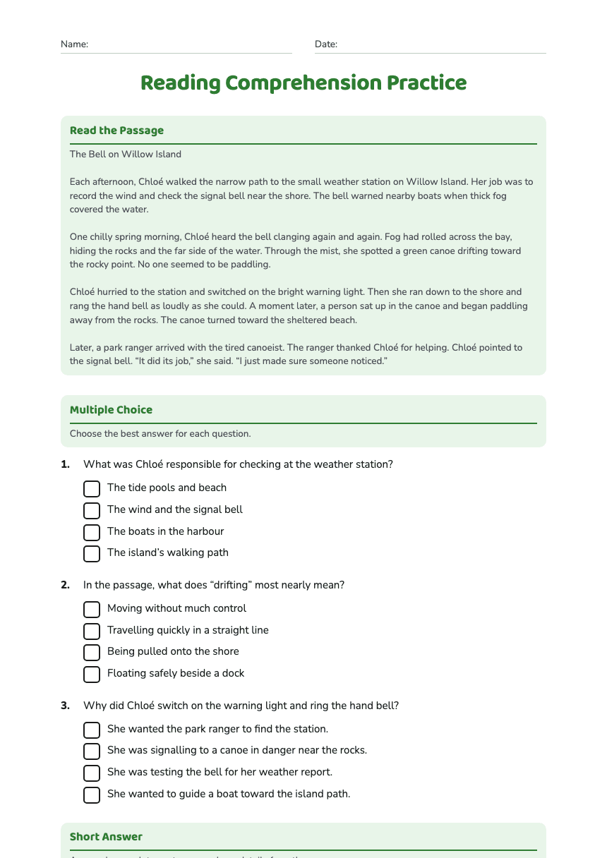 Reading Comprehension Practice worksheet preview