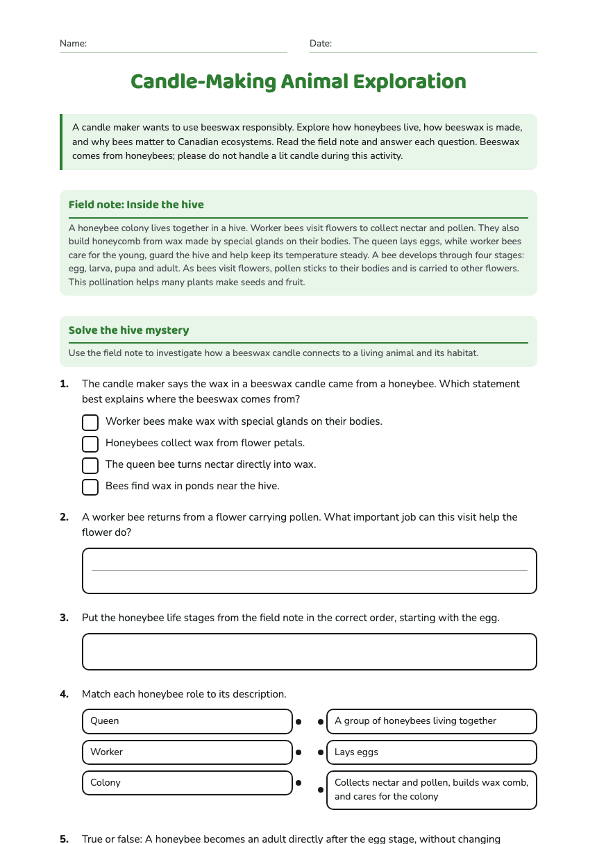 Candle-Making Animal Exploration worksheet preview