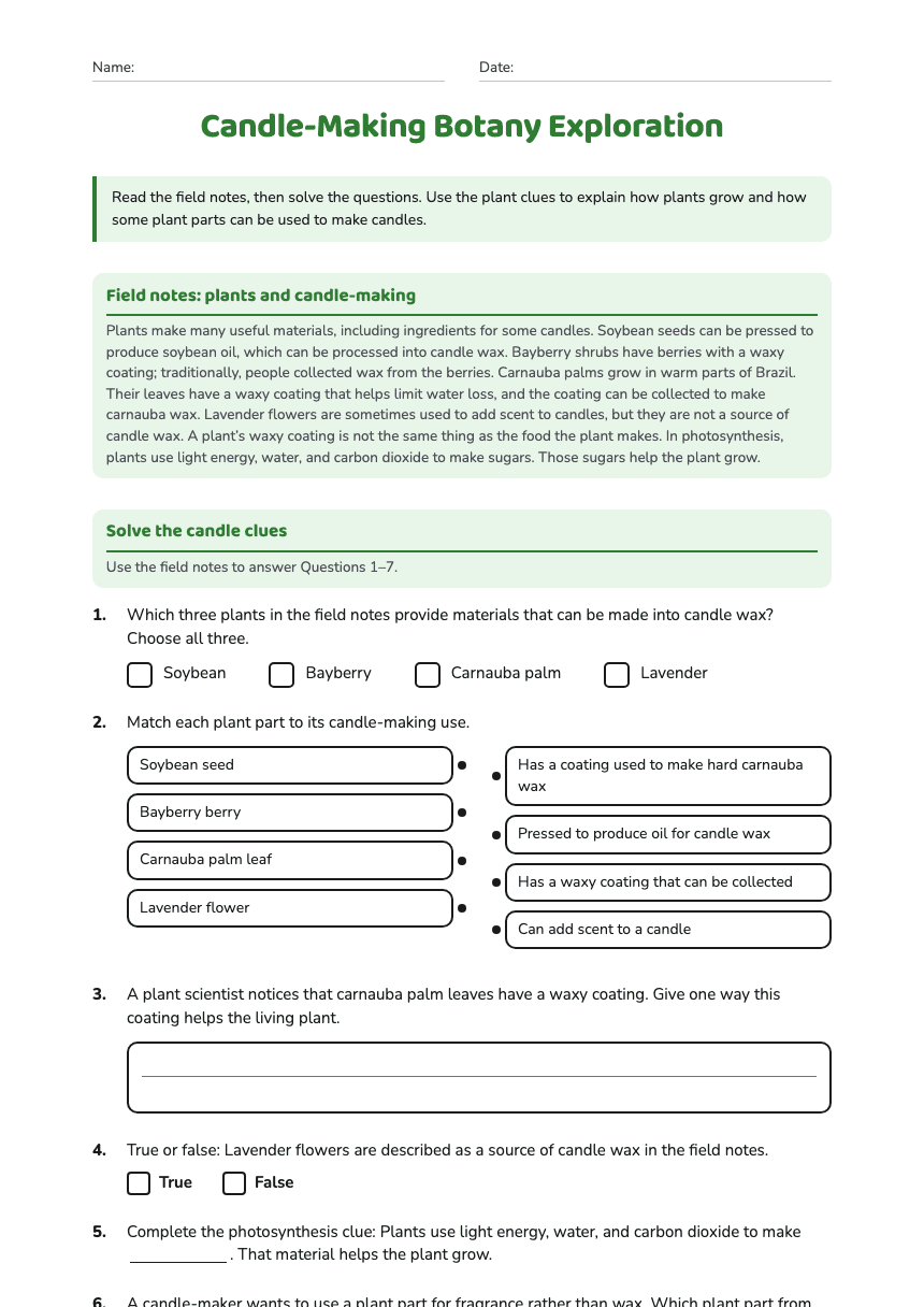Candle-Making Botany Exploration worksheet preview