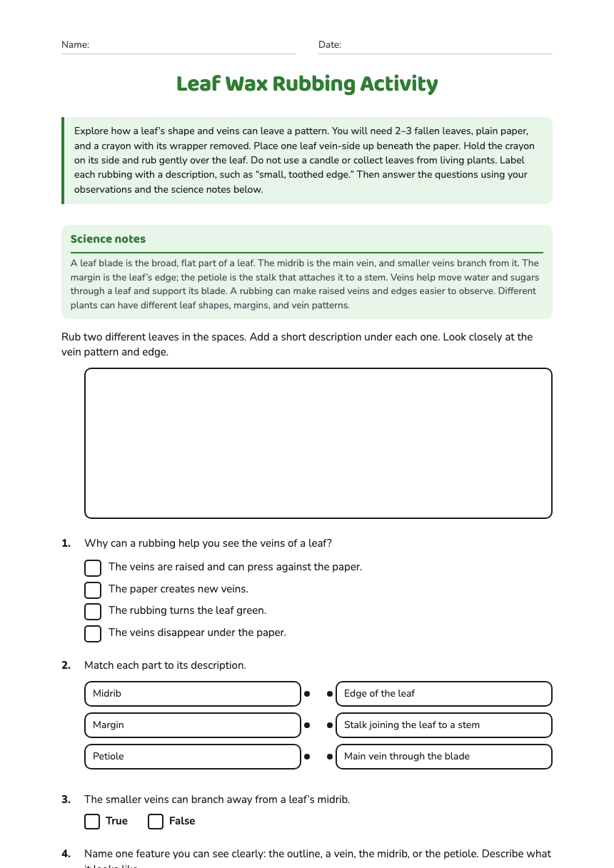 Leaf Wax Rubbing Activity worksheet preview