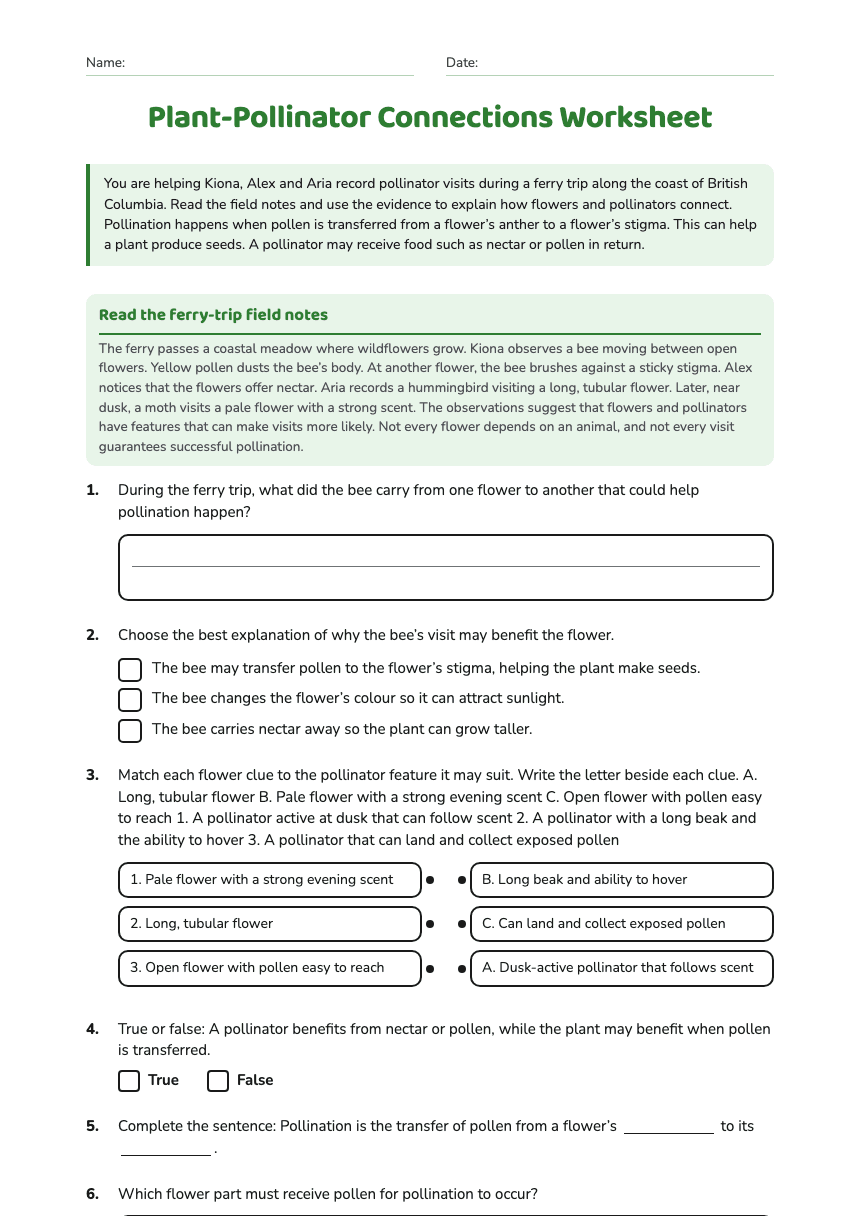 Plant-Pollinator Connections Worksheet worksheet preview