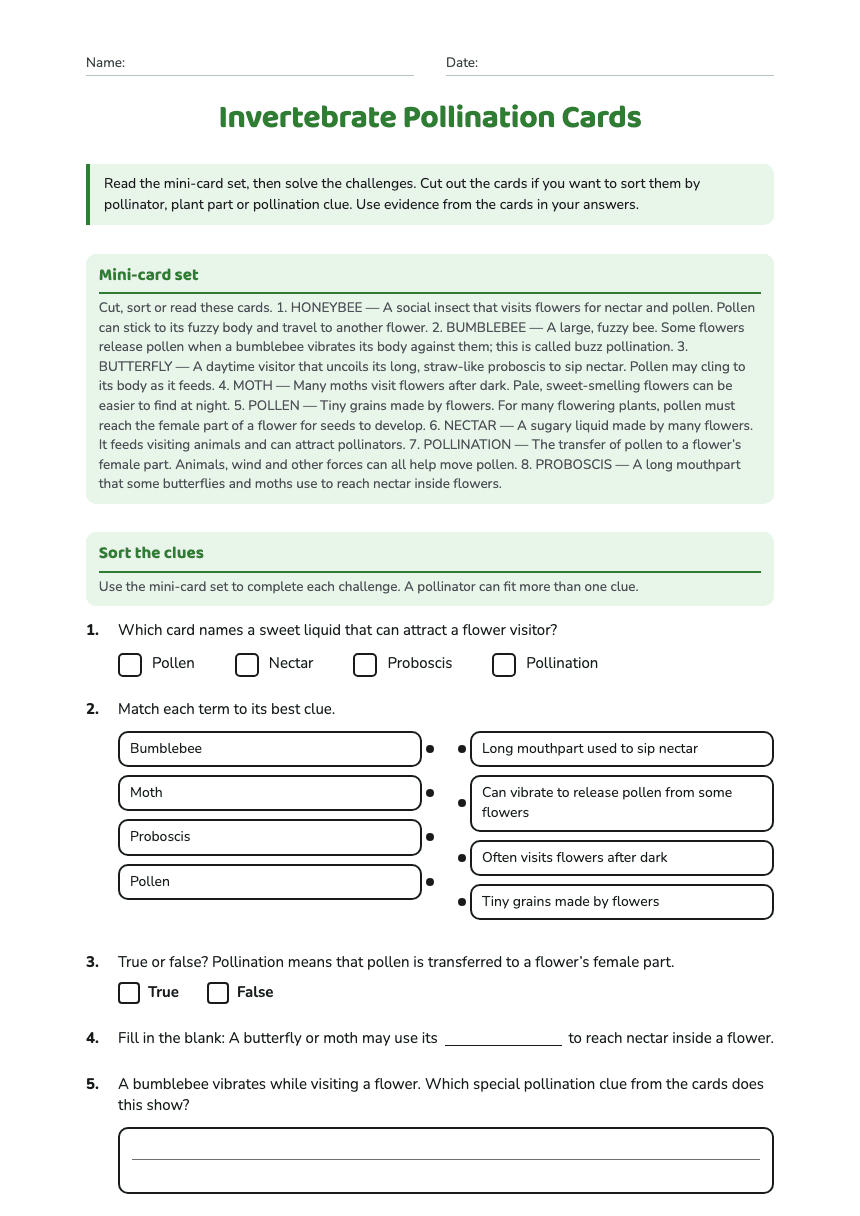 Invertebrate Pollination Cards worksheet preview
