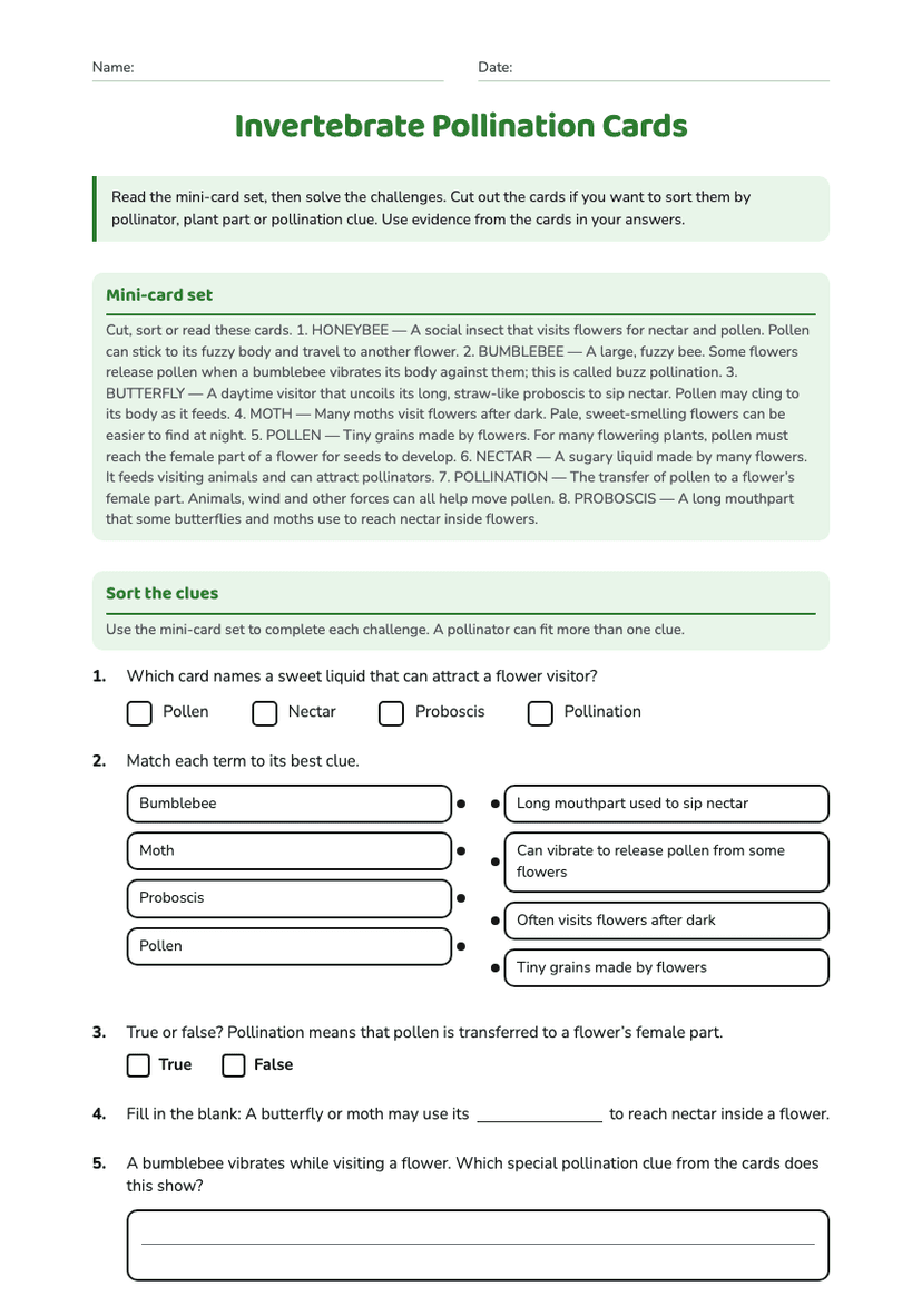 Invertebrate Pollination Cards