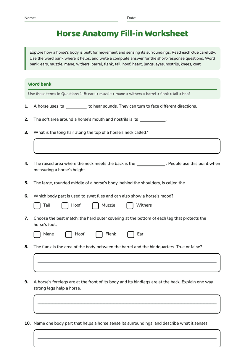 Horse Anatomy Fill-in Worksheet