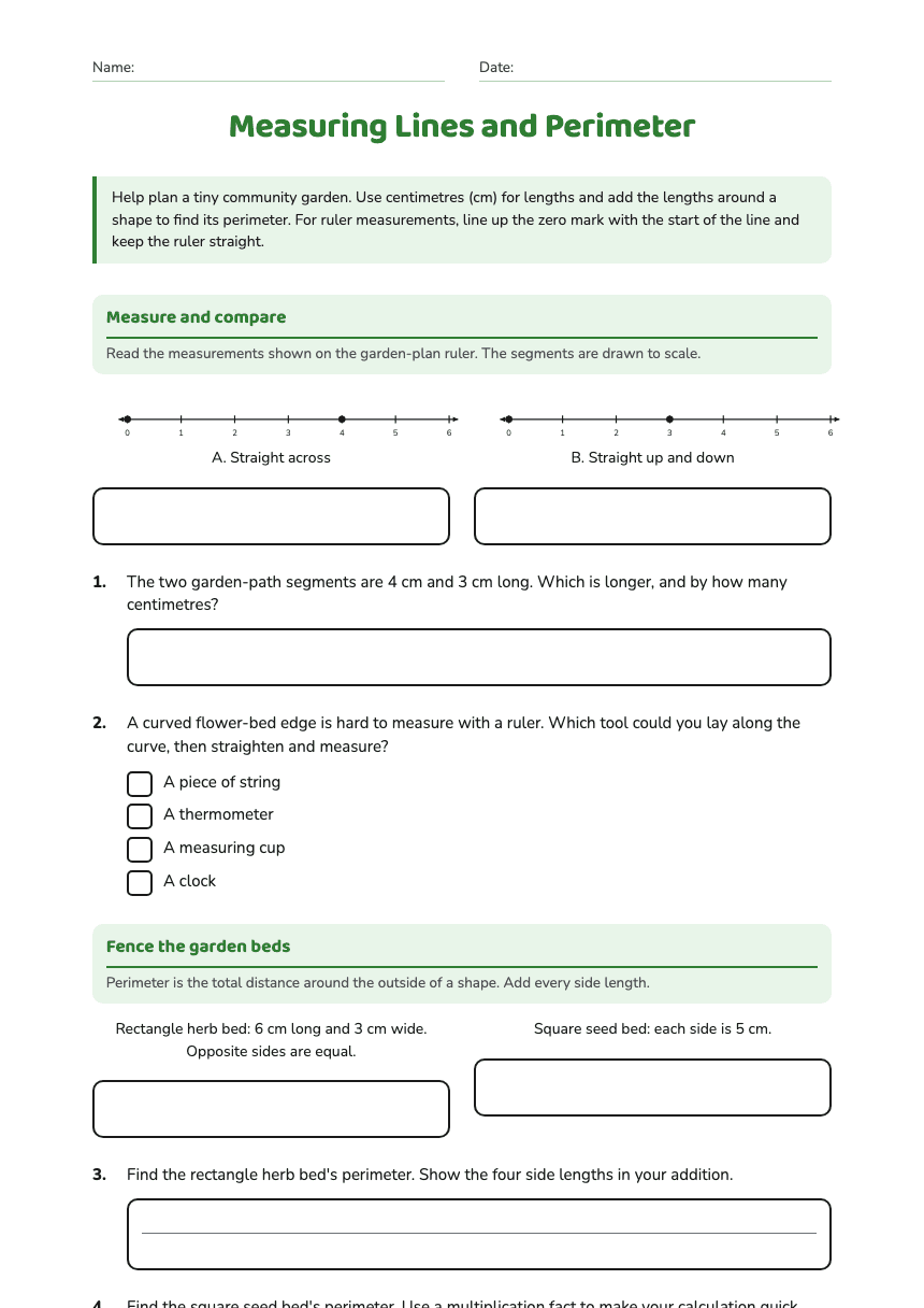 Measuring Lines and Perimeter worksheet preview