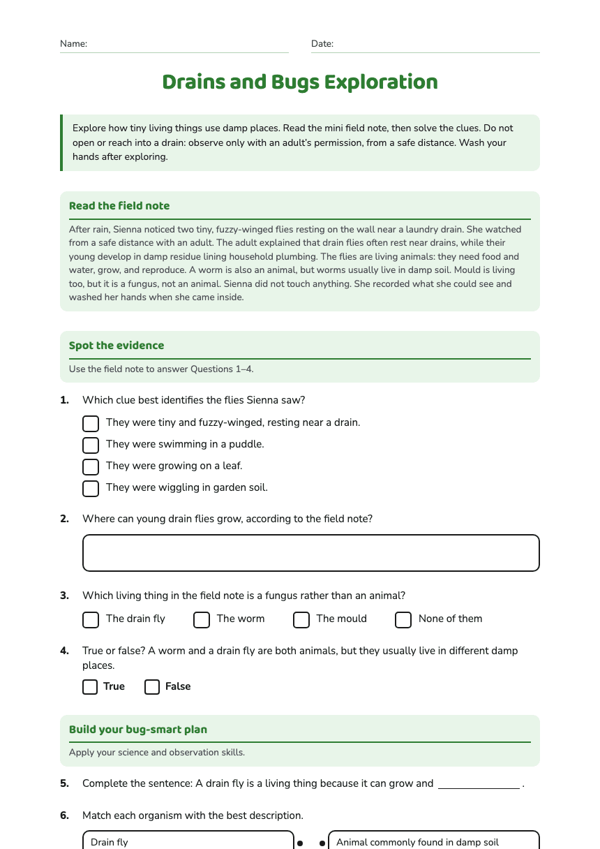 Drains and Bugs Exploration worksheet preview