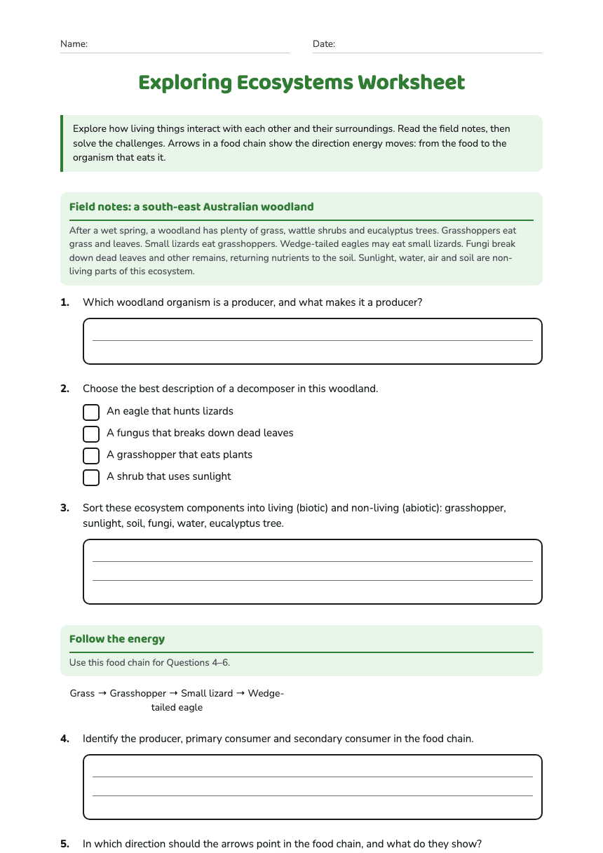 Exploring Ecosystems Worksheet worksheet preview