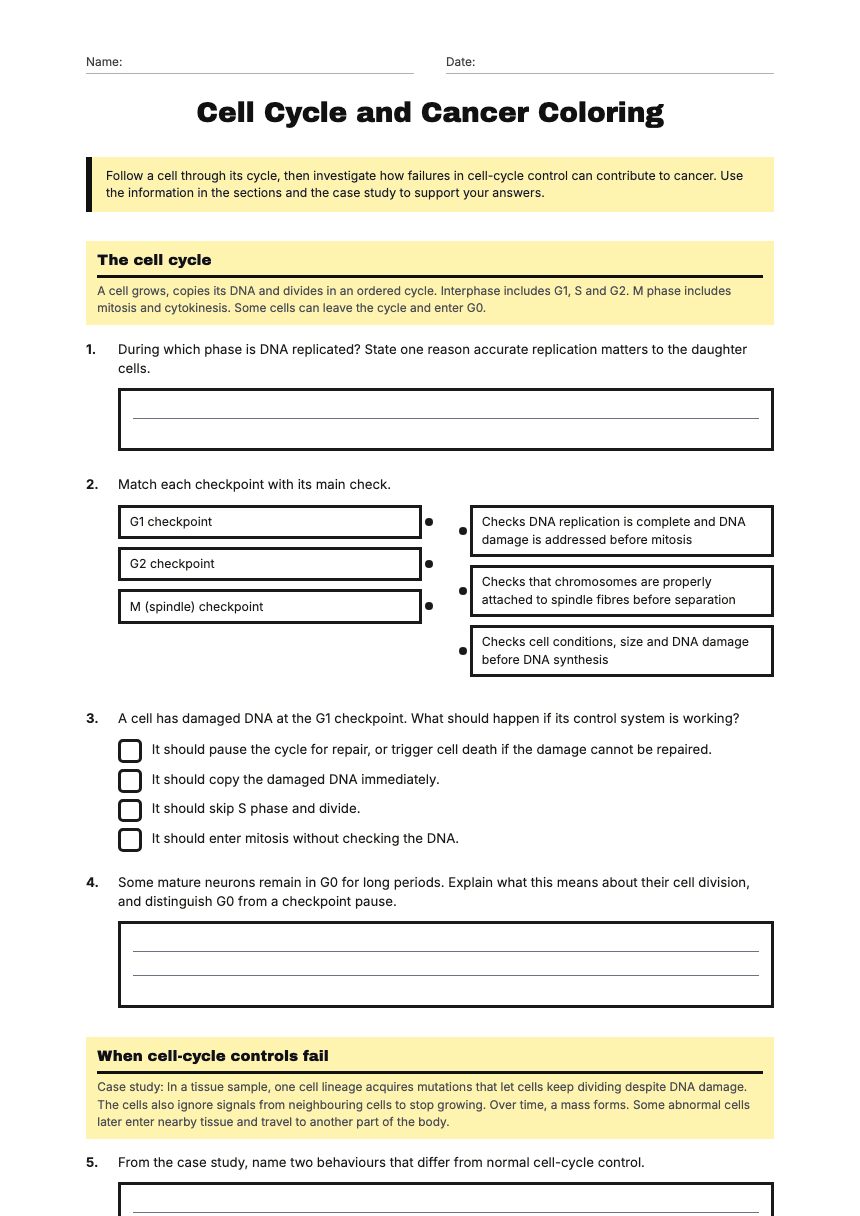 Cell Cycle and Cancer Coloring worksheet preview