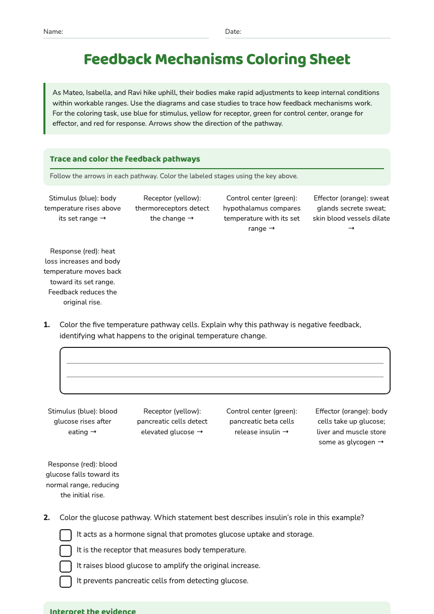 Feedback Mechanisms Coloring Sheet worksheet preview