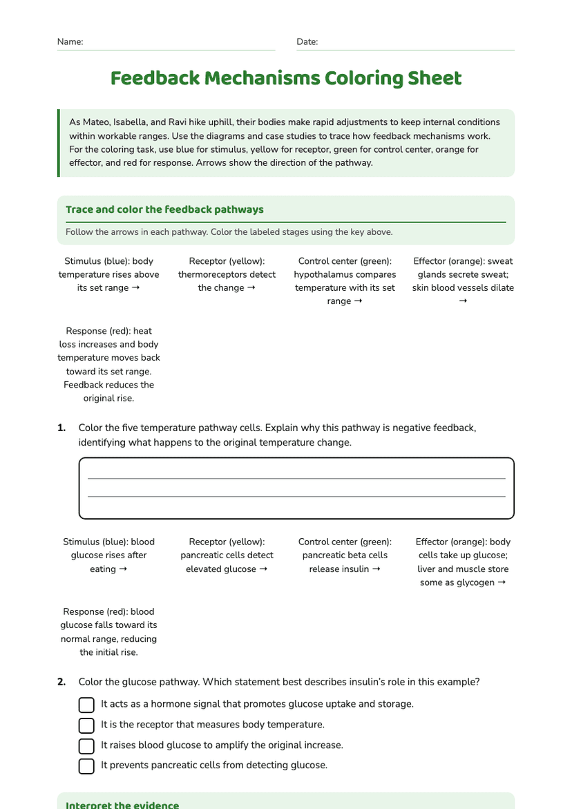 Feedback Mechanisms Coloring Sheet