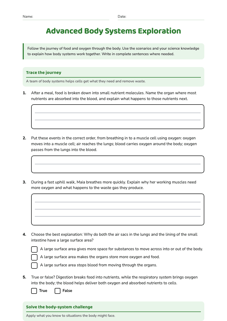 Advanced Body Systems Exploration worksheet preview